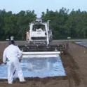 tree nursery fume applic UCD Hanson