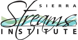 SSI Logo