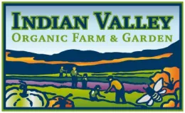 IVC logo