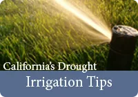 Drought 2