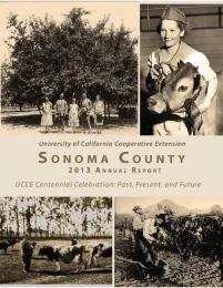 Annual Report 2013