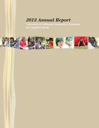 2013AR-4cover