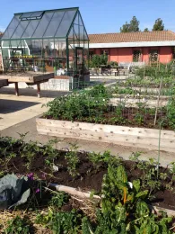 greenhouse and planted beds_vertical