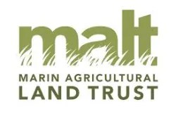 MALT