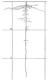 Fig 1a