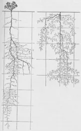 Fig 1b