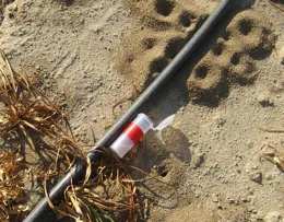 Ant baiting vial to evaluate ant populations within treatment plots