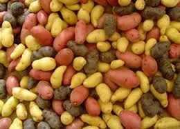 Potatoes