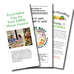 Food Safety tip cards
