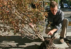 Urban Horticulture button