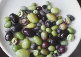 Olive