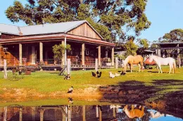 farm stay4x6