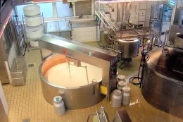 Ag processing4x6