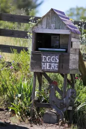 Hands Full Farm