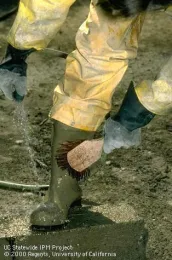 C-PE-BOOT-CL