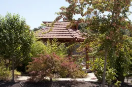 Japanese Garden