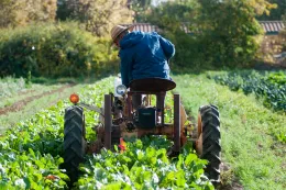 Farming