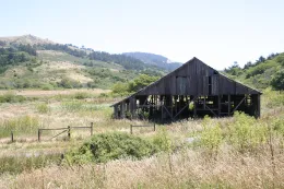 Barn