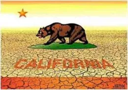CA Logo