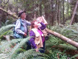 Dan Cohoon of Able Forestry teaches FIT participants how to measure tree height using a clinometer.
