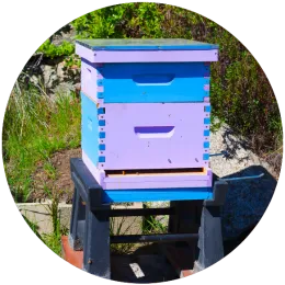 Hive Types 1-01
