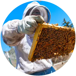 Beesuit-01