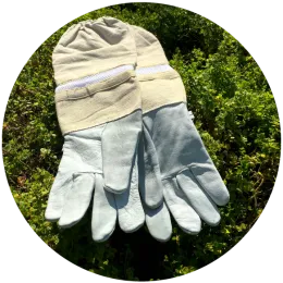 Gloves-01