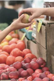 farmers market