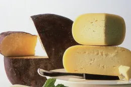 Dairy & Milk Processing