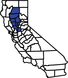 Sacramento Valley