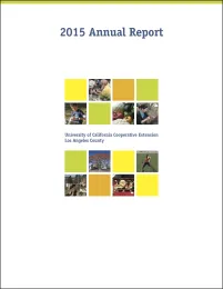 AR 2015 Cover 2