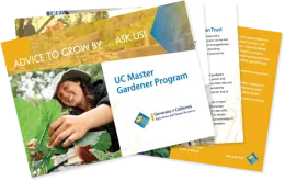 Program Brochure