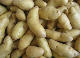 Fingerlings