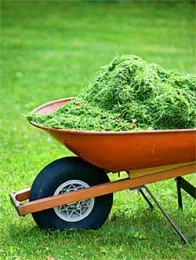 grassClippings