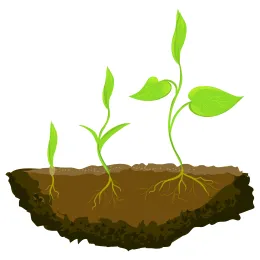 TFG_Soil