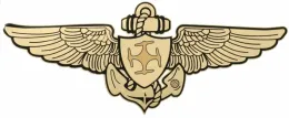 Pilot wings