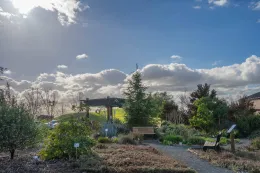 livermore_garden