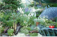 TFG garden2