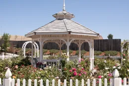Rose Garden