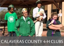 Button that links to Calaveras County 4-H Community Club Information