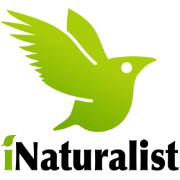 iNatbird-text-square