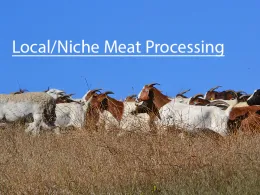 localmeatbutton