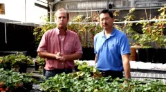 Advisors Mark Bolda & Steven Koike