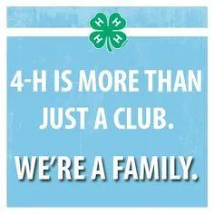 Its more than a club