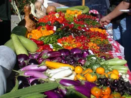 Veg Crops