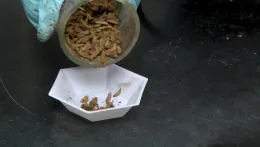 Freeze dried Seq