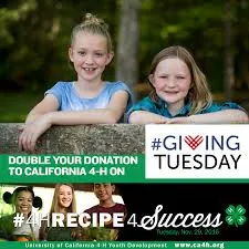 giving 4h