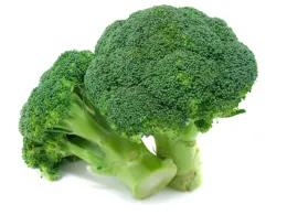 Broccoli heads, Evett Kilmartin, UC ANR Repository