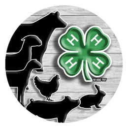 4-H Fair