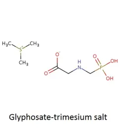 3 tm salt